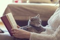 Leisure time with a cat Royalty Free Stock Photo