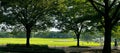 A leisurely afternoon in a park painted as a panorama