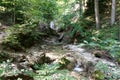 Leisurely Hike through Schleifenmuehlklamm at bavaria