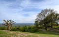 Viewpoint at the summit of Leith Hill, Surrey, UK