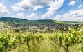 Leiwen at the Moselle Rhineland-Palatinate Germany Royalty Free Stock Photo