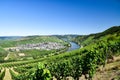 Leiwen village on the Moselle Royalty Free Stock Photo