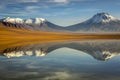 Lejia lake reflection at sunrise, near Atacama Volcanoes, Chile Royalty Free Stock Photo