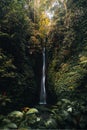 Leke Leke waterfall in tropical jungle and alone woman in bikini in Bali, Indonesia Royalty Free Stock Photo