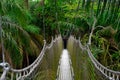 Lekki canopy walkway Royalty Free Stock Photo