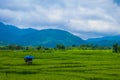 Lekuk 50 Tumbi in Kerinci, Jambi, Indonesia