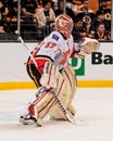 Leland Irving Calgary Flames Royalty Free Stock Photo