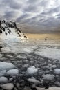 Lemaire Channel - Antarctic Peninsula in Antarctica Royalty Free Stock Photo