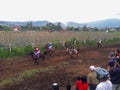 A jockey riding a horse in a horse racing area, the atmosphere is high and cold