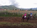 A jockey riding a horse in a horse racing area, the atmosphere is high and cold