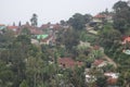 housing in the middle of the forest in lembang during the day