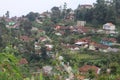 housing in the middle of the forest in lembang in the morning