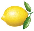 Lemon