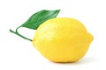 Lemon Royalty Free Stock Photo