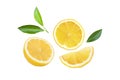 Fresh slices of yellow lemon lime fruit with green leaf isolated on white background . Royalty Free Stock Photo