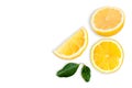 Slices of yellow lemon lime fruit Royalty Free Stock Photo