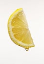 Lemon Royalty Free Stock Photo