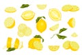 Various lemon flat set. Exotic natural fruits collection.