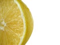 Lemon Royalty Free Stock Photo