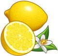 Lemon