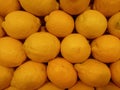 Lemon. Background of lemons. Sale of lemons in a supermarket or market. Showcase with lemons