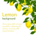 Lemon background poster