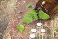 Lemon Balm. Bottle with tablets and herbal on wooden table Royalty Free Stock Photo