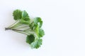 Lemon balm herb leafs isolated on white background. The leaves have a mild lemon scent. The tea balm, the essential oil Royalty Free Stock Photo