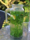Lemon balm tea in a glass jar on a terrace Royalty Free Stock Photo