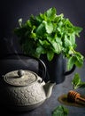 Lemon balm tea for a lazy afternoon Royalty Free Stock Photo