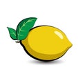 Lemon. beautiful illustration of a tropical fruit. Food in a cartoon style