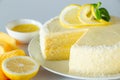 Lemon biscuit dessert decorated coconut flake. Delicate cake with white cream cheese Royalty Free Stock Photo