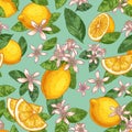 Lemon blossom seamless pattern. Hand drawn yellow lemons with green leaves and citrus flowers. Botanical garden fruits Royalty Free Stock Photo