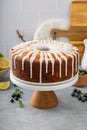 Lemon blueberry pound cake with powder sugar glaze Royalty Free Stock Photo
