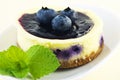 Lemon blueberry tart Royalty Free Stock Photo