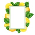 Lemon border, fruit background, flower frame. Corner with tree branch and green leaves, realistic citrus lemonade, herb