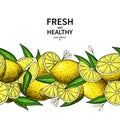 Lemon border vector drawing. Citrus fruit frame template.