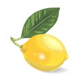 Lemon branch