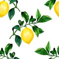 Lemon on a branch seamless background. Watercolor pattern of citrus leaves for the design of wedding invitations, cards.