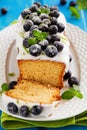 Lemon cake with blueberry Royalty Free Stock Photo