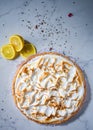 Lemon cake on Italian marble decorated with lemon wedges