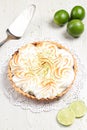 Lemon cake on a light background Royalty Free Stock Photo