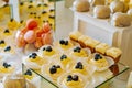 lemon cakes decorated with blue berries stand on the table near the macaroons, pannacotta and chocolate jelly. Close-up