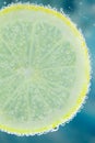 Lemon in carbonated water Royalty Free Stock Photo