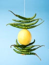 Lemon chilli totka or black magic hanging Royalty Free Stock Photo