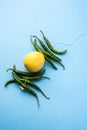 Lemon chilli totka or black magic hanging Royalty Free Stock Photo