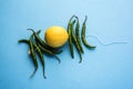 Lemon chilli totka or black magic hanging Royalty Free Stock Photo