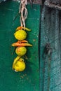 Lemon and chilies tied together with a thread, also known as totka or nazar battu. Royalty Free Stock Photo