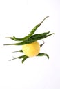 Lemon chilli totka or black magic hanging Royalty Free Stock Photo