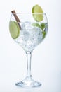 Lemon and cinnamon gin tonic isolated over white